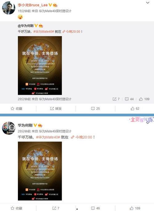 爆料颜色视频下载,颜色视频下载背后的秘密与技巧