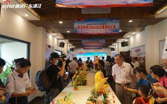 遂溪新闻爆料最新消息今天,突发！今天最新事件现场直击